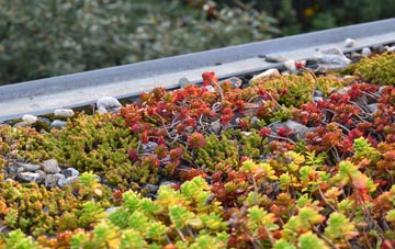 the cost of Llanvihangel Crucorney green roof installation