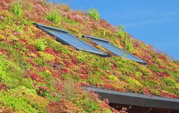 Llanvihangel Crucorney living roof systems